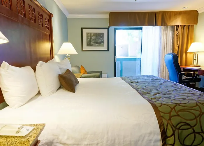 Best Western Plus Forest Park Inn